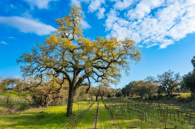 $8,500,000 | 4054 Silverado Trail, Napa, CA 94558