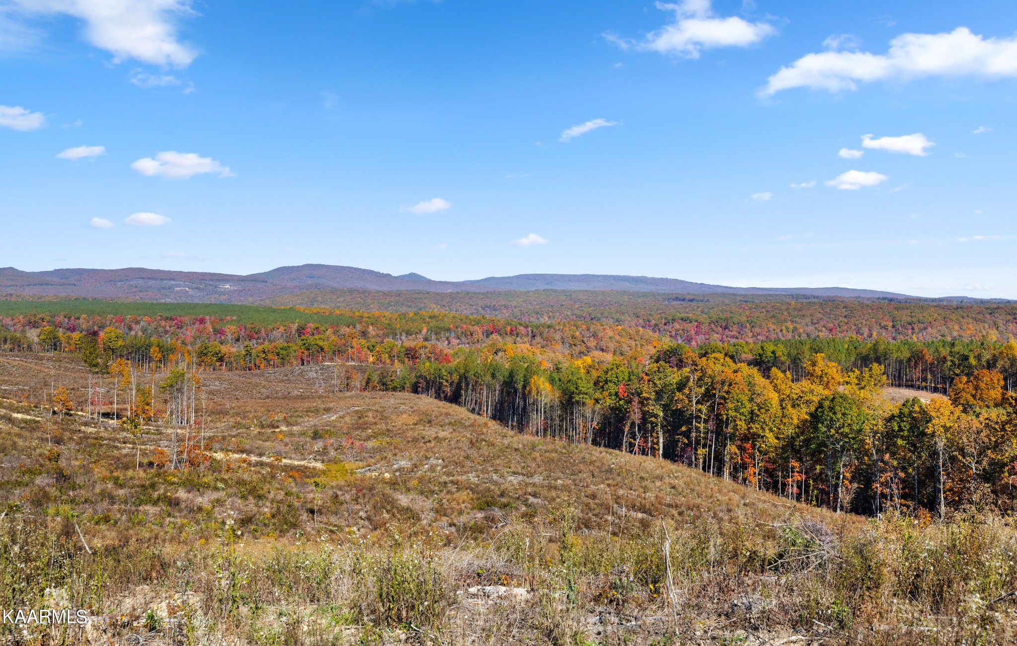 188 Overlook Trail Spring City, TN 37381 - Photo 27 of 32 Gallery Image 27