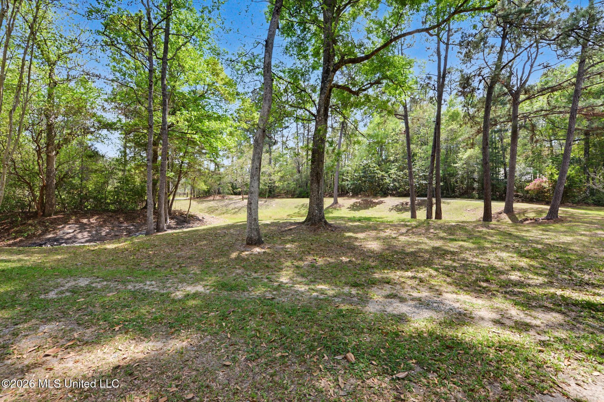 63 Fritz Whitfield Road Picayune, MS 39466 - Photo 46 of 53 048