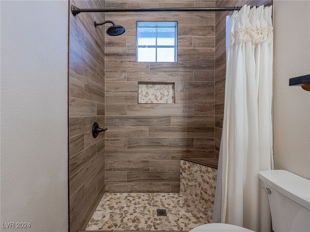 689 Blue Crystal Creek Road Henderson, NV 89002 - Photo 48 of 76