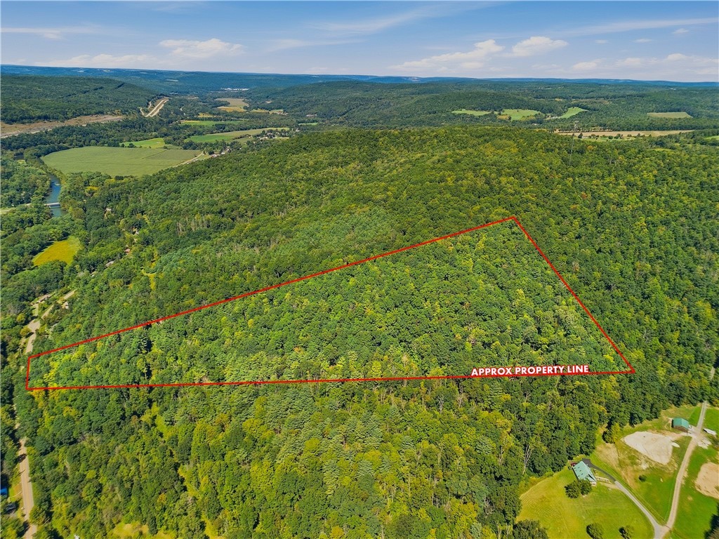 River Road Lindley, NY 14858 - Photo 7 of 21 Gallery Image 7