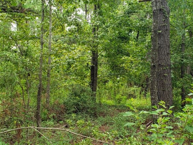 Xxx Aspalaga Road, Unit 1 Bristol, FL 32321 - Photo 1 of 1 Gallery Image 1