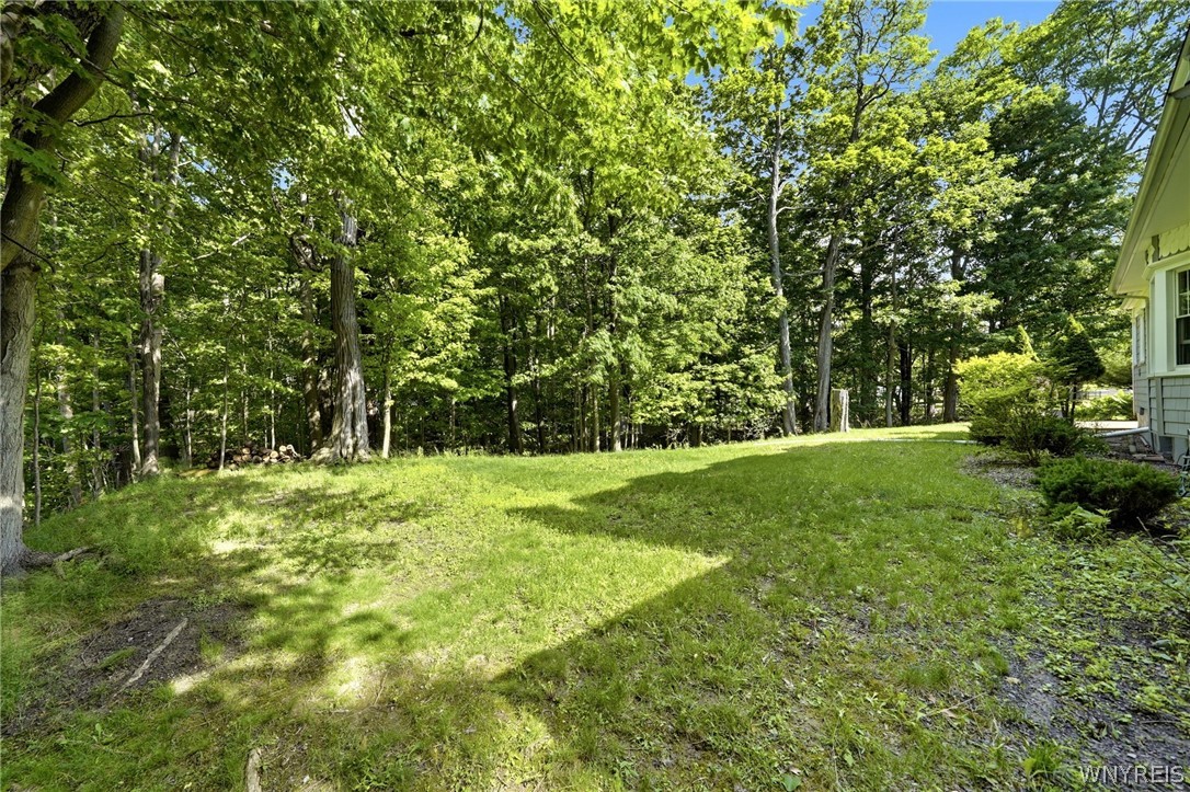 1536 South Creek Road Evans, NY 14047 - Photo 35 of 50