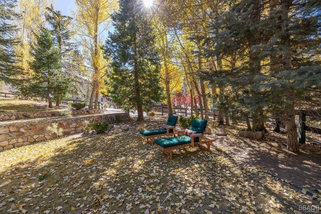 39654 Flicker Road Fawnskin, CA 92333 - Photo 6 of 33