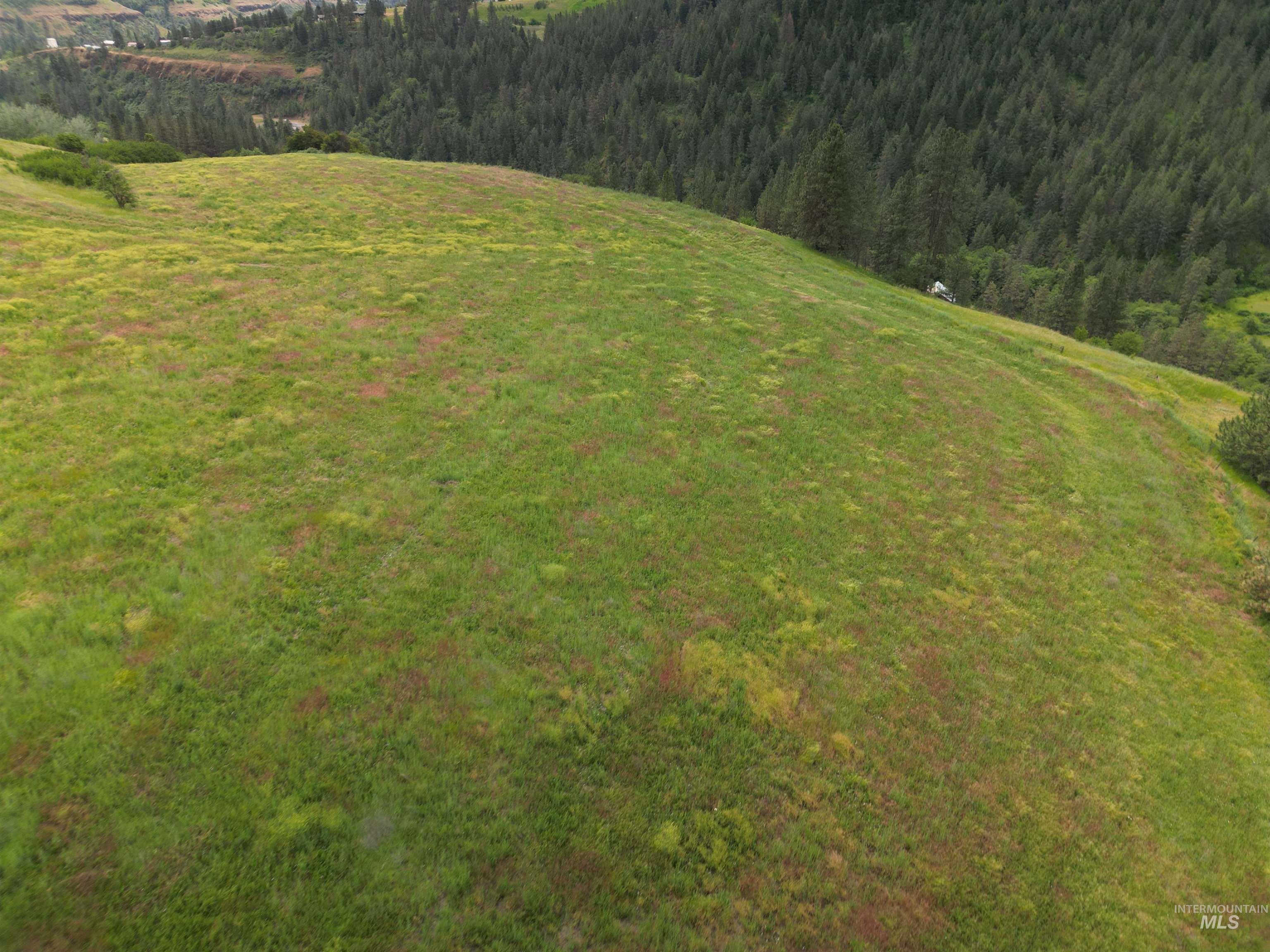 0 American Ridge Road Kendrick, ID 83537 - Photo 3 of 21