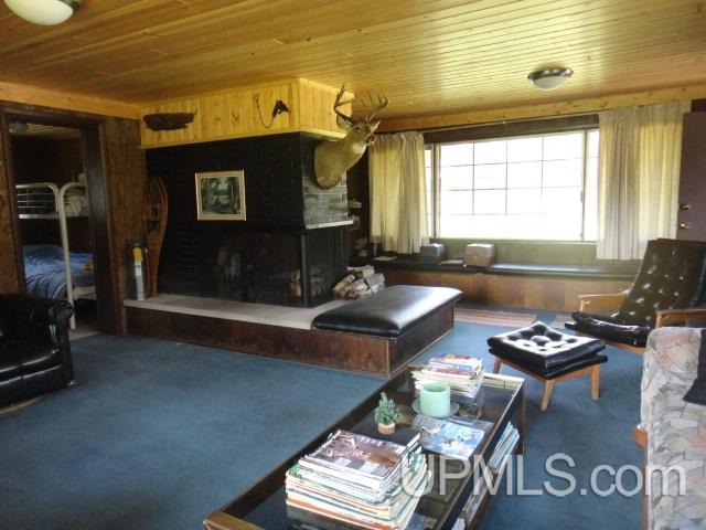 Tbd Uno Dam/ Ff3473 Road Iron River, MI 49935 - Photo 4 of 36