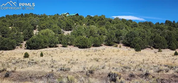 $65,000 | Undisclosed Address, Westcliffe, CO 81252