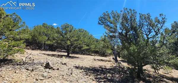 $65,000 | Undisclosed Address, Westcliffe, CO 81252