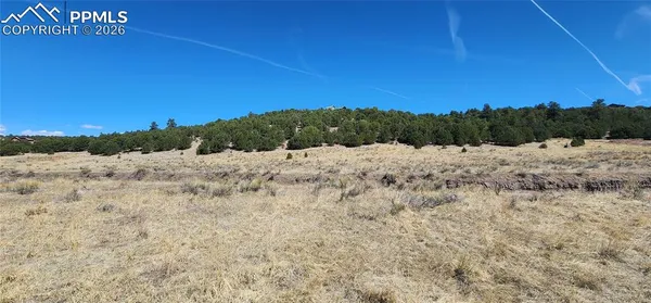 $65,000 | Undisclosed Address, Westcliffe, CO 81252