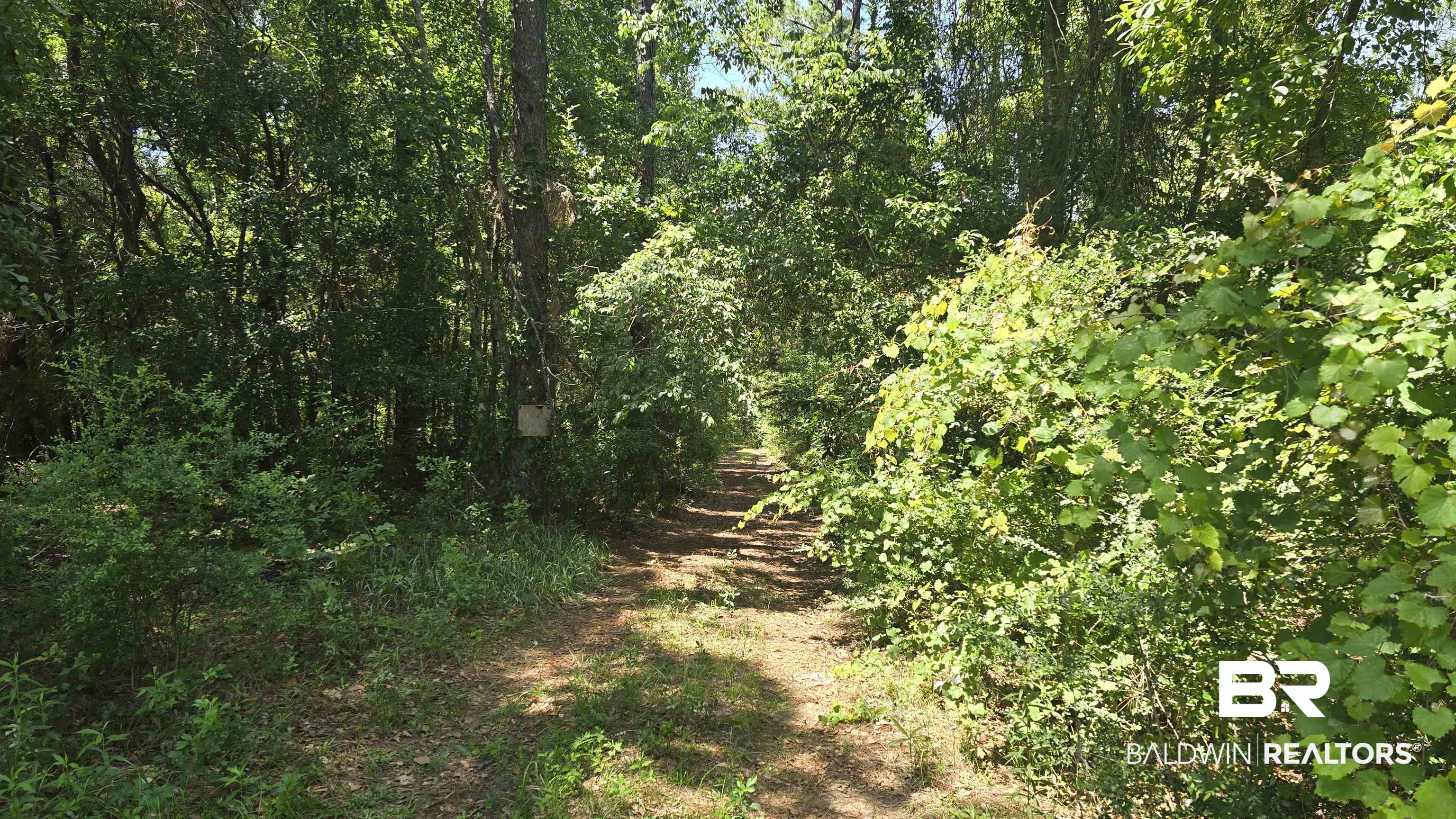 0 Toler Road Silverhill, AL 36576 - Photo 1 of 9