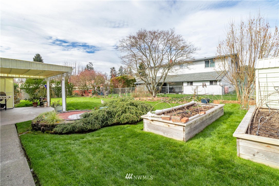 1710 Southwest Gails Avenue Chehalis, WA 98532 - Photo 3 of 24 a view of a house with a big yard potted plants and large tree