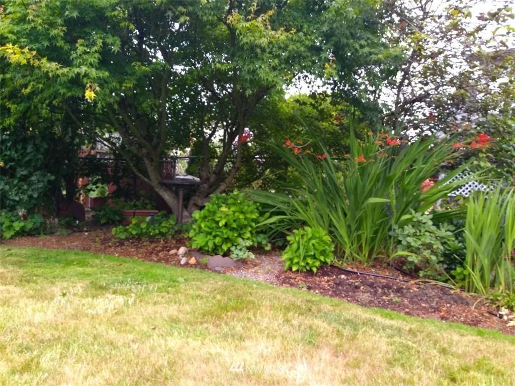1710 Southwest Gails Avenue Chehalis, WA 98532 - Photo 23 of 24 a view of a yard with plants and large trees