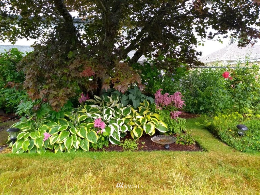 1710 Southwest Gails Avenue Chehalis, WA 98532 - Photo 24 of 24 a view of a bunch of flowers