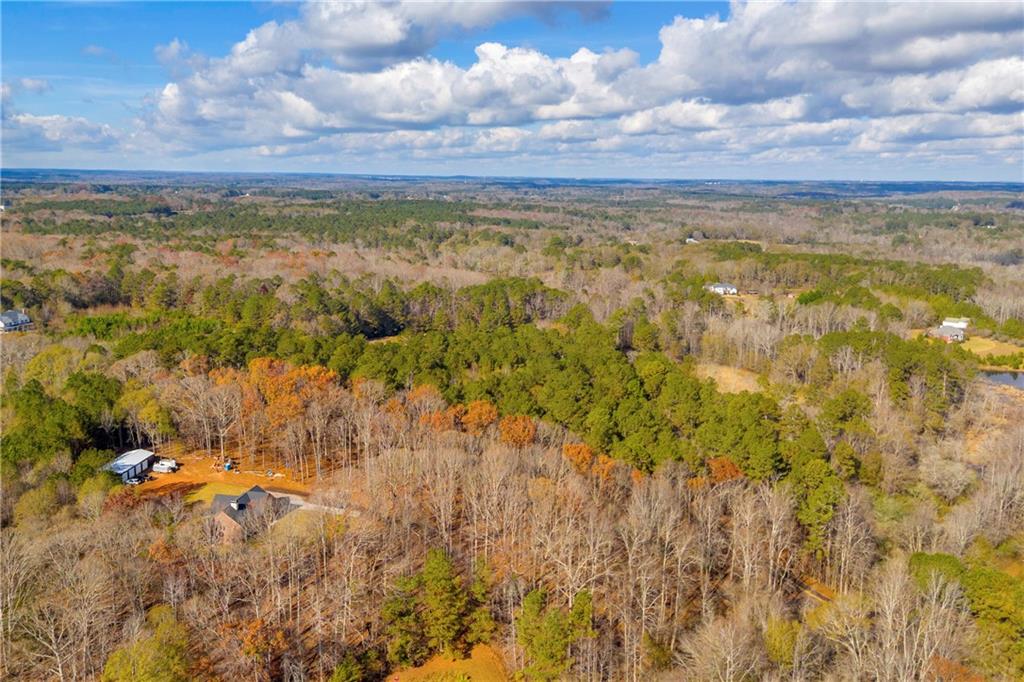 3681 Luther Adams Road Northwest Monroe, GA 30656 - Photo 3 of 10