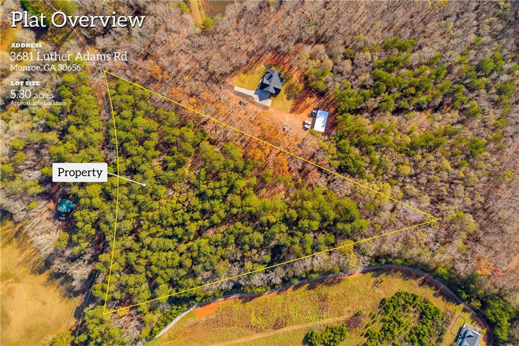 3681 Luther Adams Road Northwest Monroe, GA 30656 - Photo 5 of 10 a picture of a tree