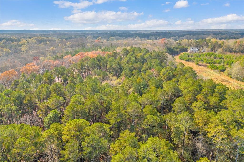 3681 Luther Adams Road Northwest Monroe, GA 30656 - Photo 10 of 10 a view of a lake from a yard