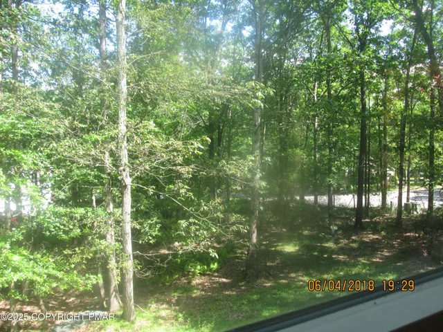 a view of yard from a window