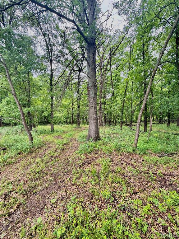 800 Southeast Rd T19 Collins Mo 64738 Collins, MO 64738 - Photo 33 of 36