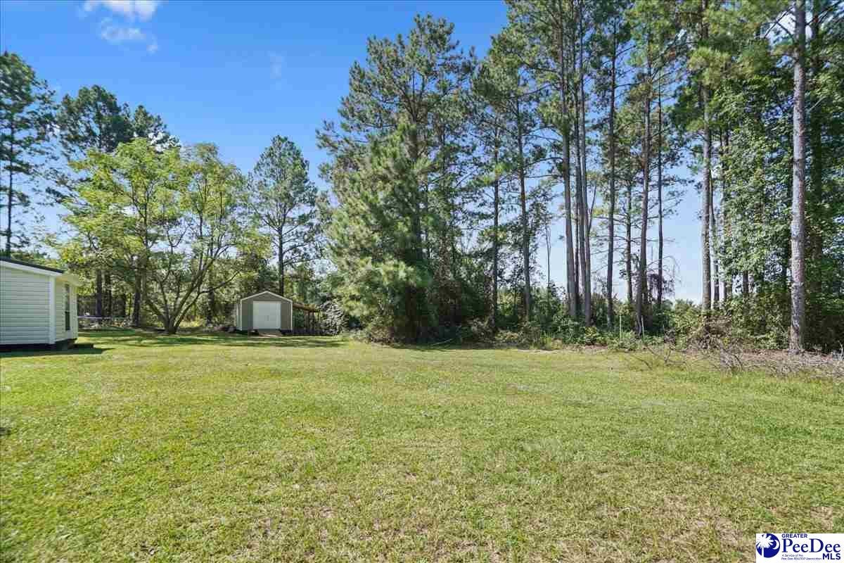 10282 Ruby-hartsville Road Patrick, SC 29584 - Photo 23 of 30 Gallery Image 23
