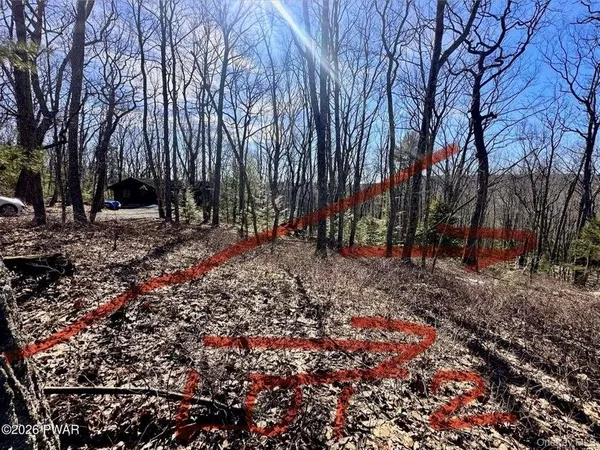 a view of a yard with an outdoor space