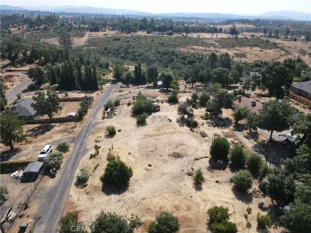 a view of a yard with a tree