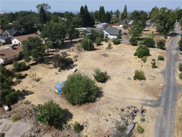 a view of a dry yard with trees and outdoor space