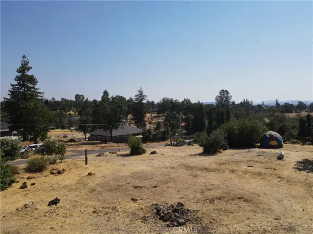 a view of a dry yard with a tree