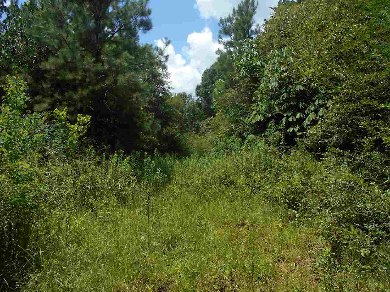4156 Mathis Road Crystal Springs, MS 39059 - Photo 18 of 23 Photo 18