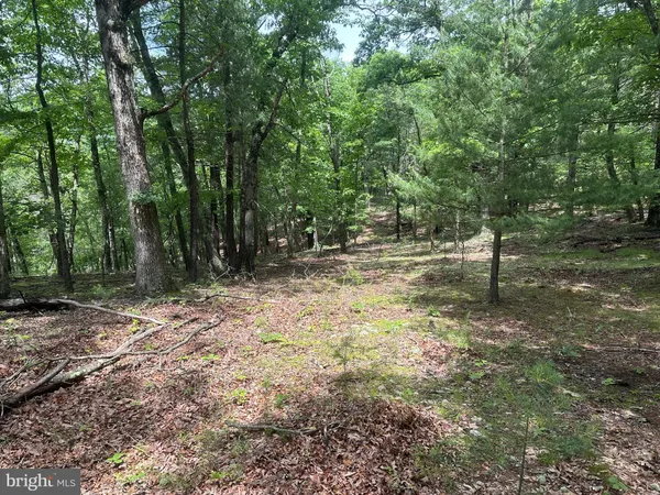 a view of outdoor space with trees