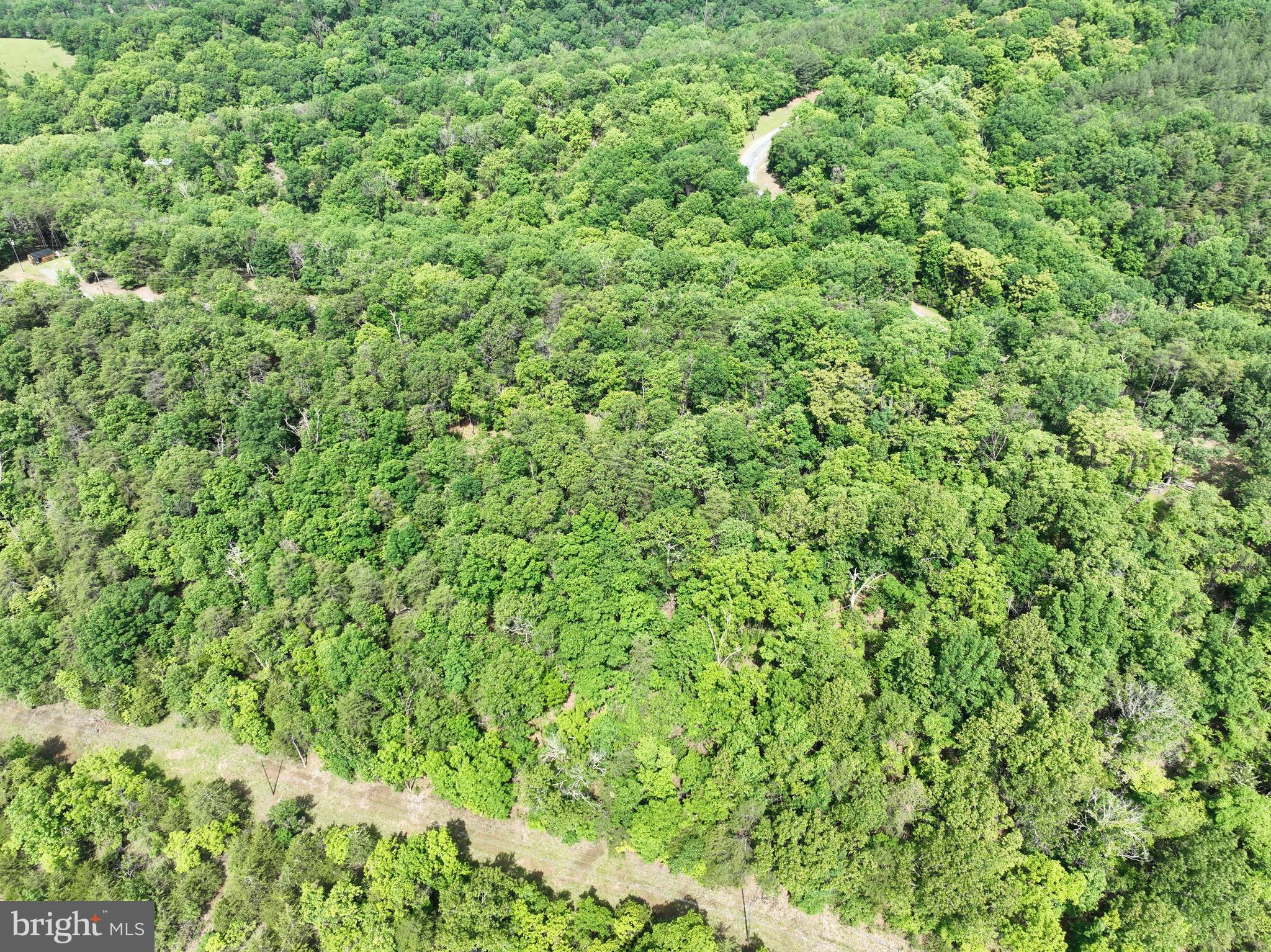 2.23-ac Doe Trail Springfield, WV 26763 - Photo 15 of 19 a view of a lush green forest with a tree