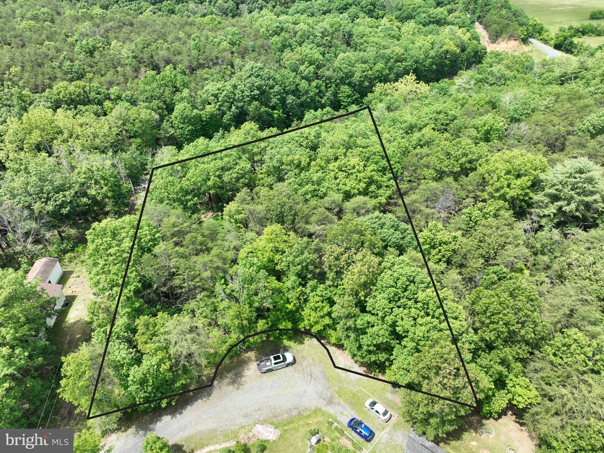 2.23-ac Doe Trail Springfield, WV 26763 - Photo 2 of 19 a view of a yard with a tree