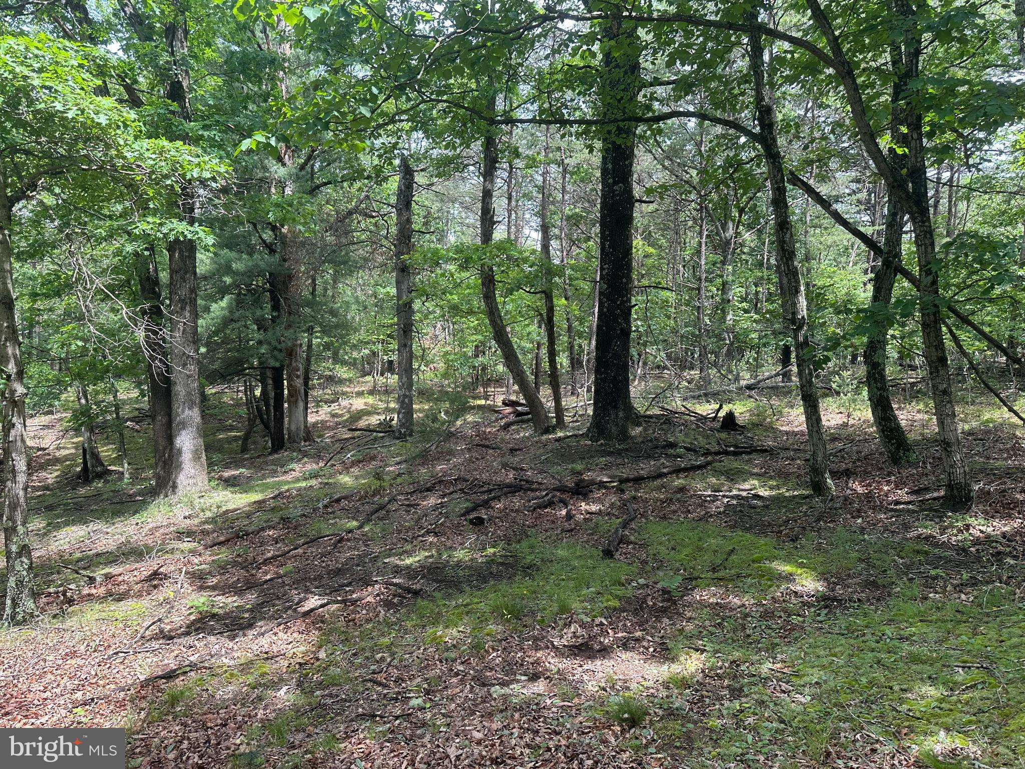 2.23-ac Doe Trail Springfield, WV 26763 - Photo 5 of 19 a view of outdoor space and tree