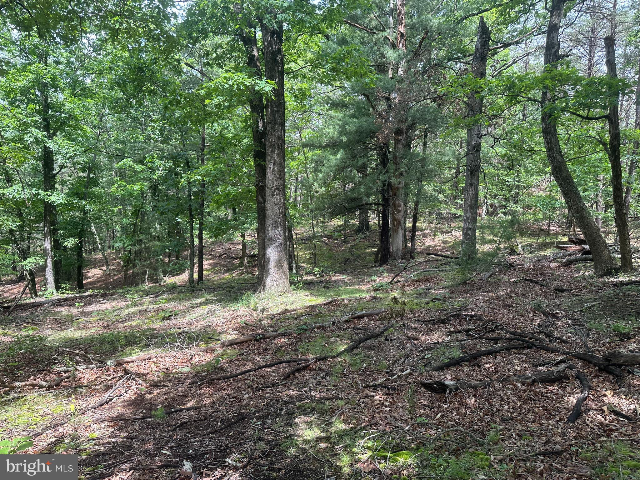 2.23-ac Doe Trail Springfield, WV 26763 - Photo 7 of 19 a backyard of a house with lots of green space