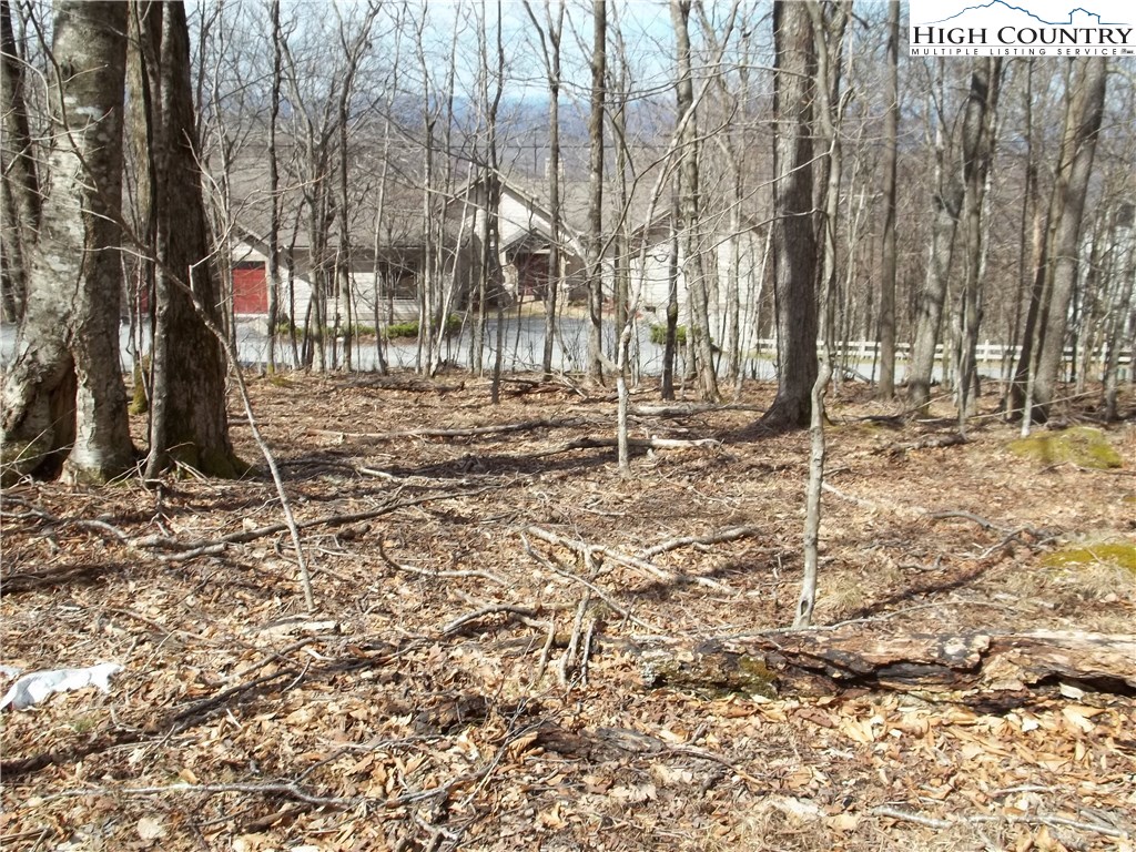 113 Raven Road Beech Mountain, NC 28604 - Photo 1 of 2 Gallery Image 1