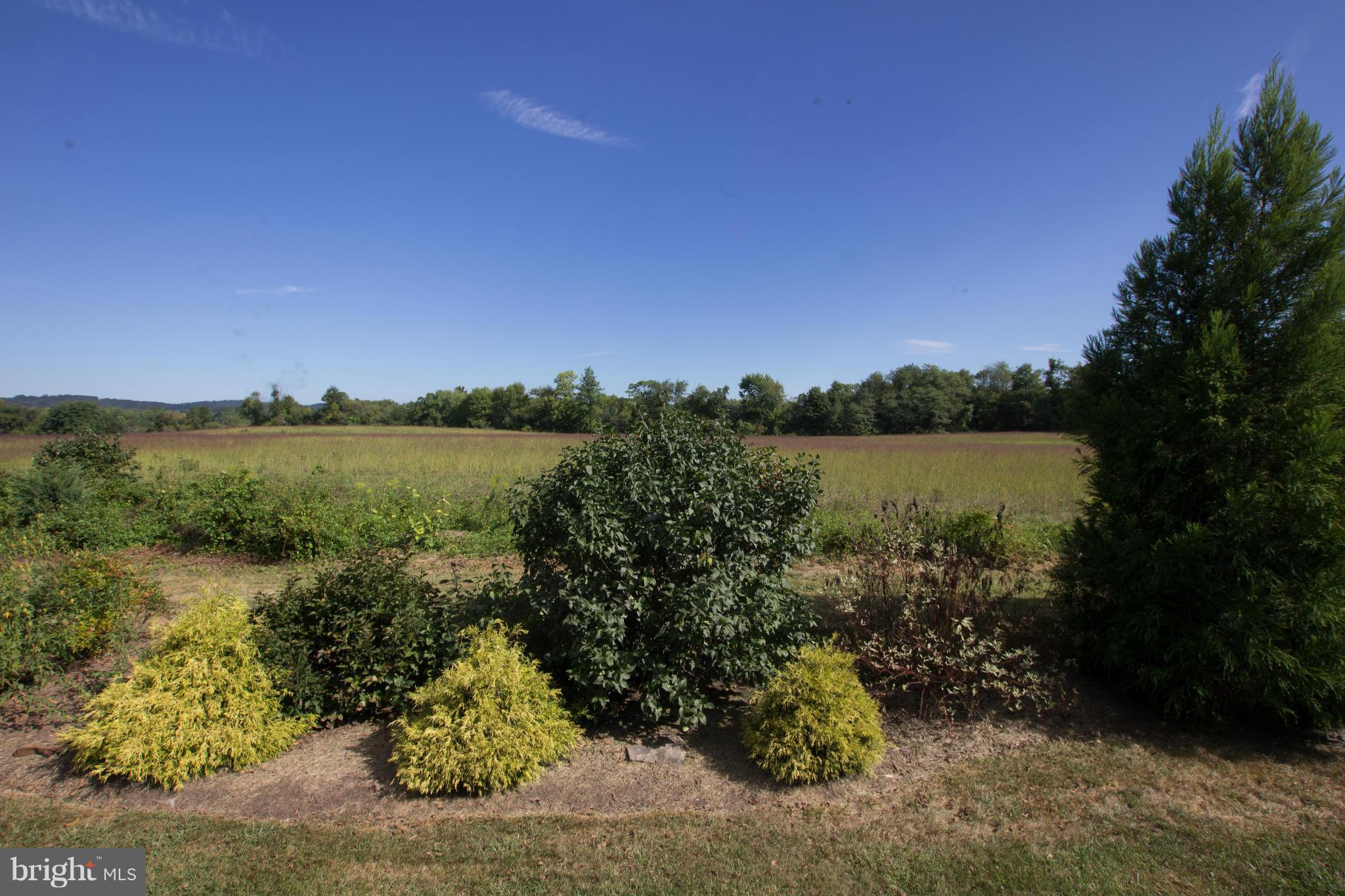 42380 Stumptown Road Leesburg, VA 20176 - Photo 14 of 21 Exterior (General)