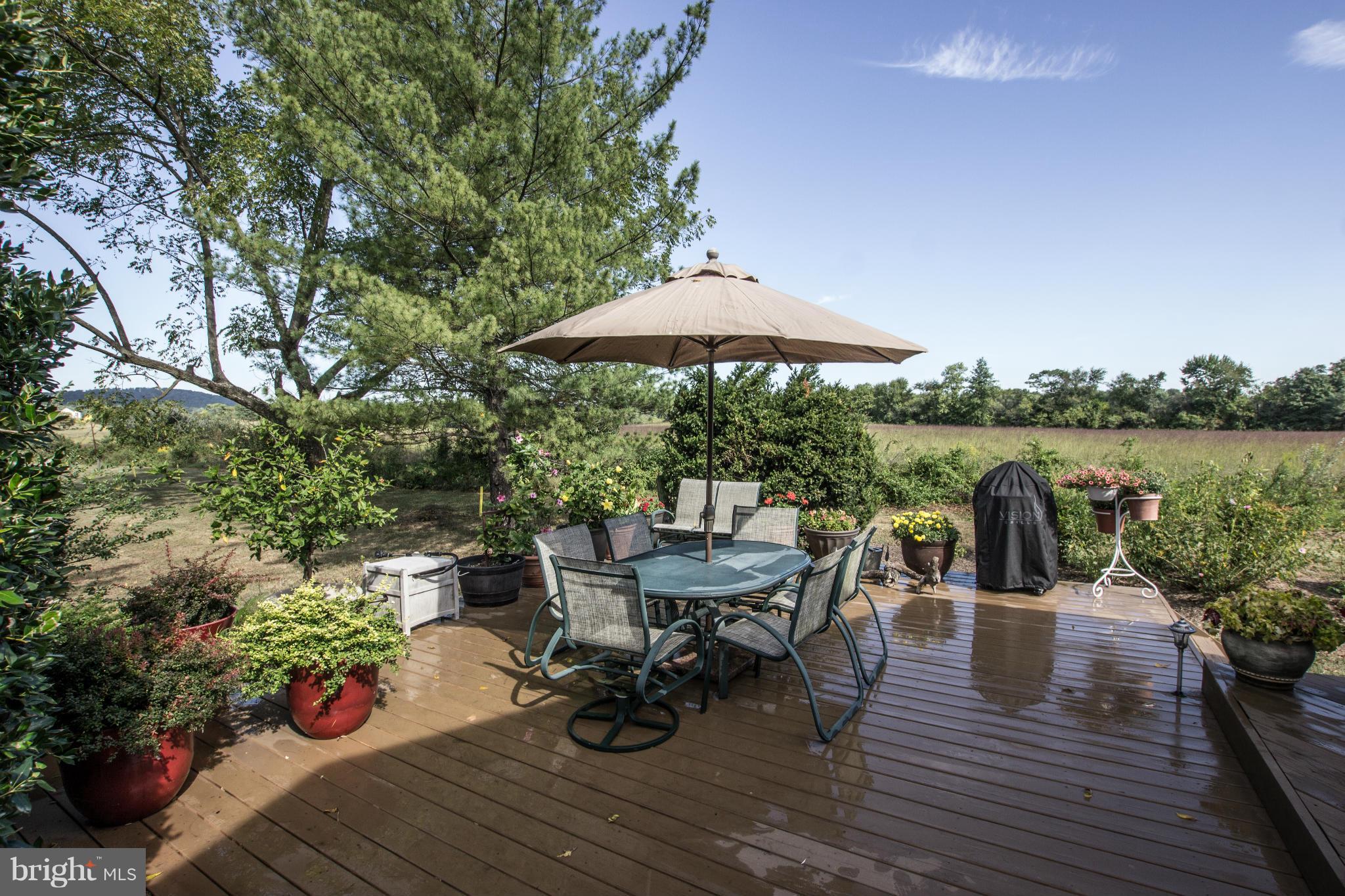 42380 Stumptown Road Leesburg, VA 20176 - Photo 15 of 21 Two tiered deck off kitchen