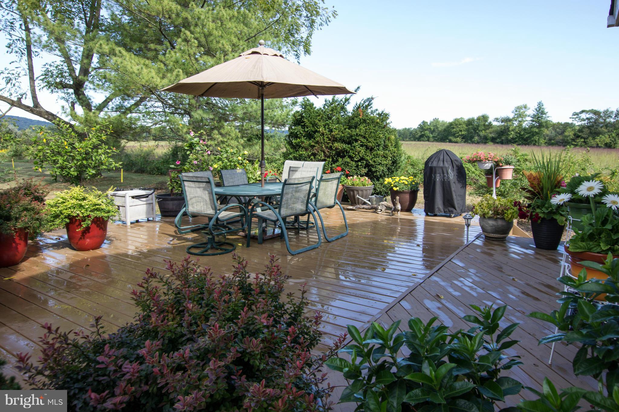 42380 Stumptown Road Leesburg, VA 20176 - Photo 19 of 21 So tranquil