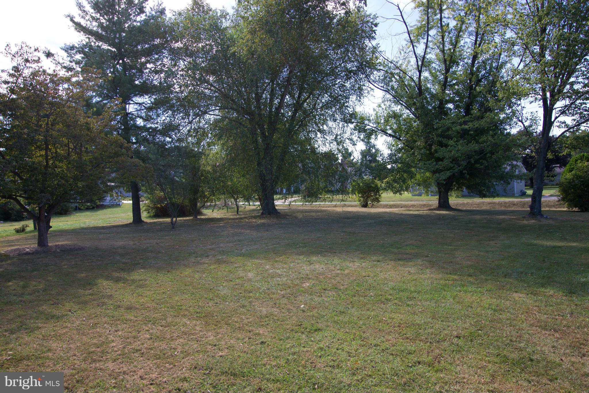 42380 Stumptown Road Leesburg, VA 20176 - Photo 20 of 21 Mature trees in the front yard