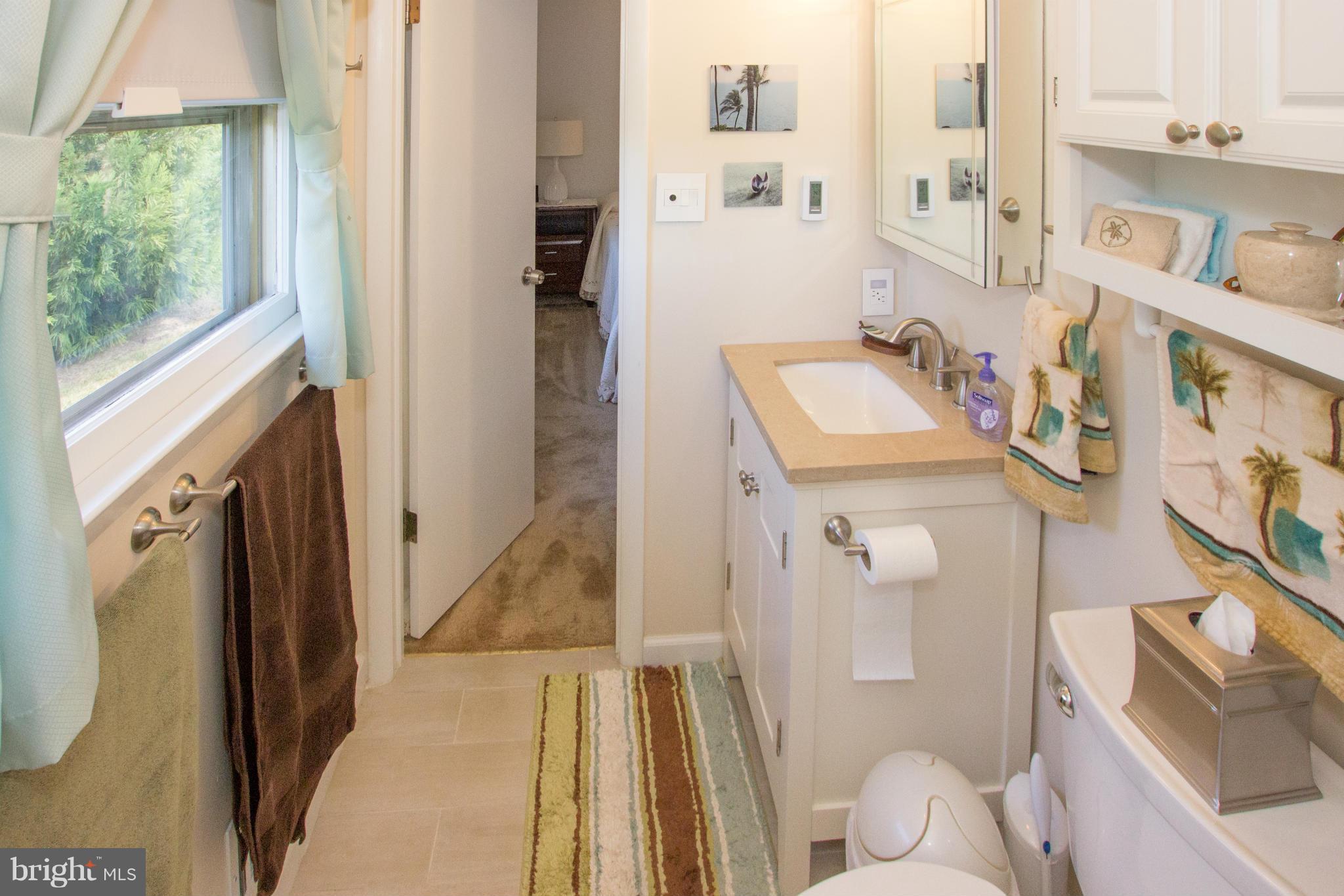 42380 Stumptown Road Leesburg, VA 20176 - Photo 9 of 21 Bath (Master)
