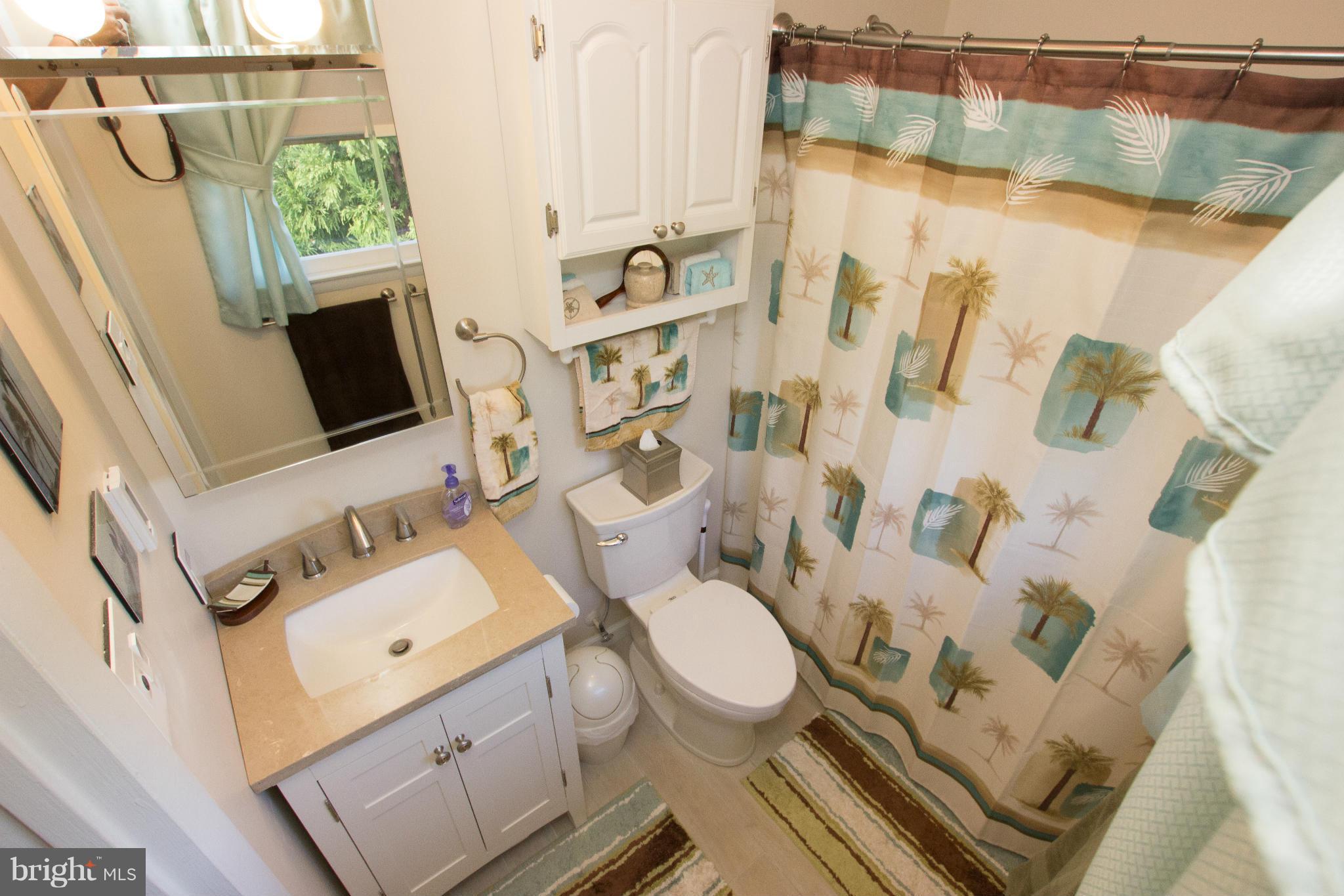 42380 Stumptown Road Leesburg, VA 20176 - Photo 10 of 21 Bath (Master)