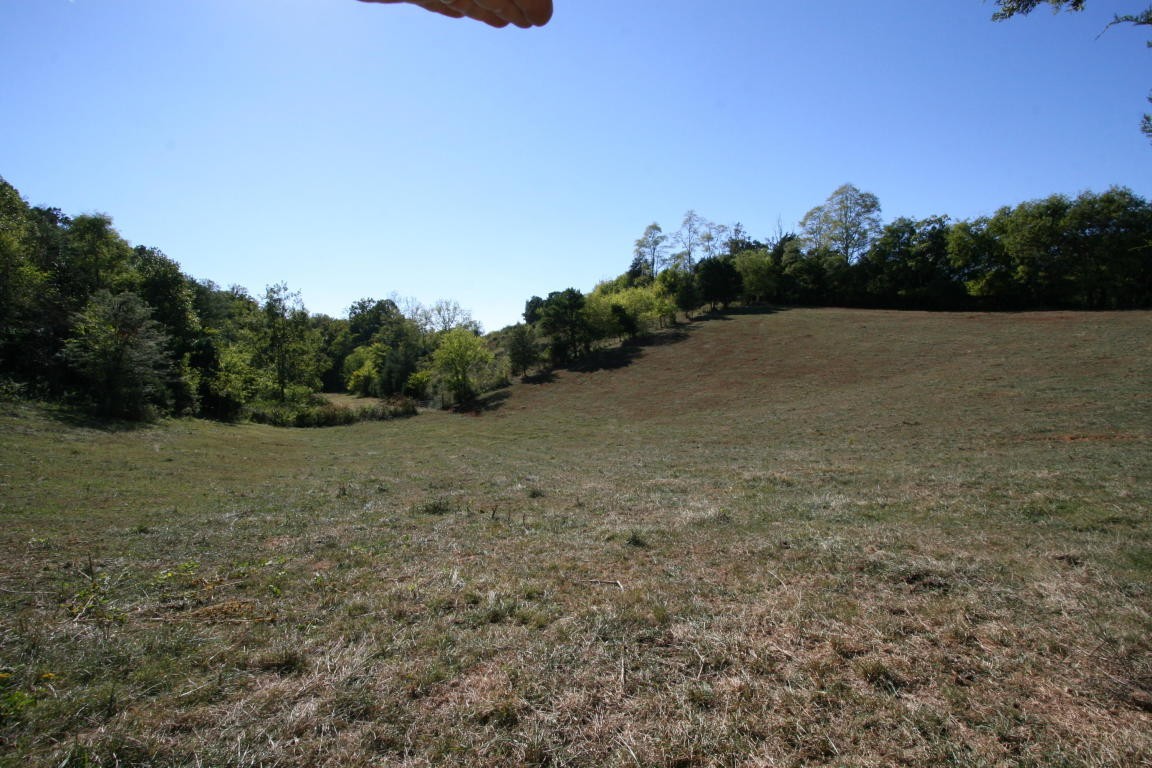 0 Crumley Road Greenback, TN 37742 - Photo 4 of 11 a view of a field with trees in background
