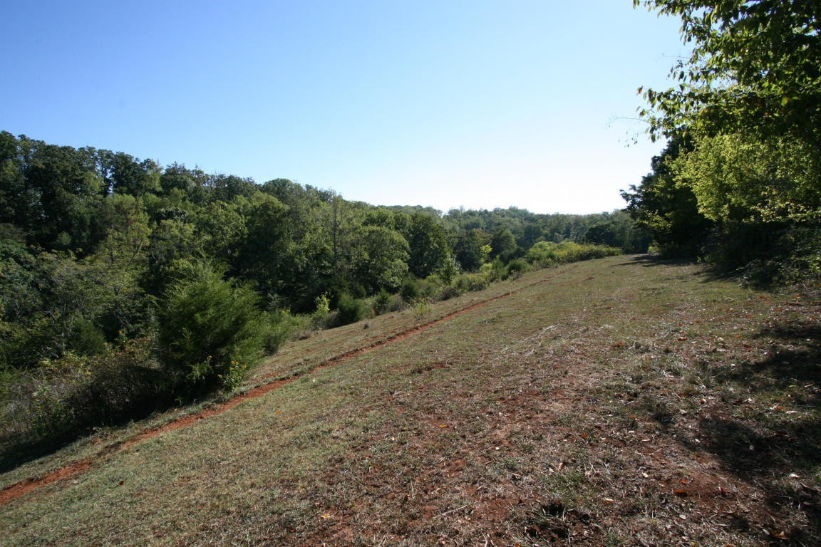 0 Crumley Road Greenback, TN 37742 - Photo 8 of 11 a view of a field with trees in background