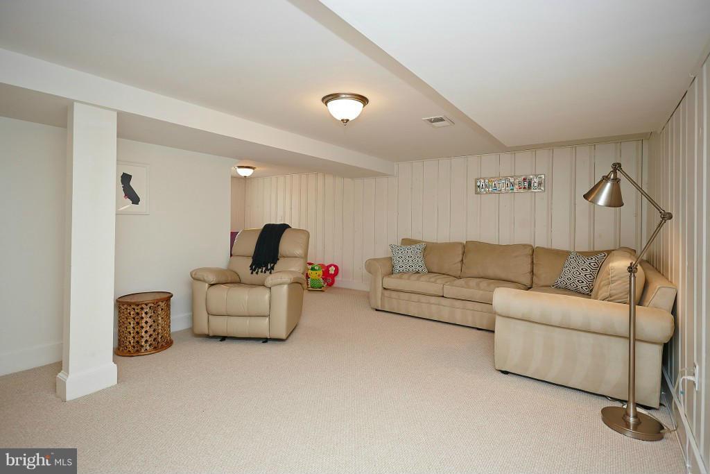 3830 Chesterbrook Road Arlington, VA 22207 - Photo 17 of 23 Basement