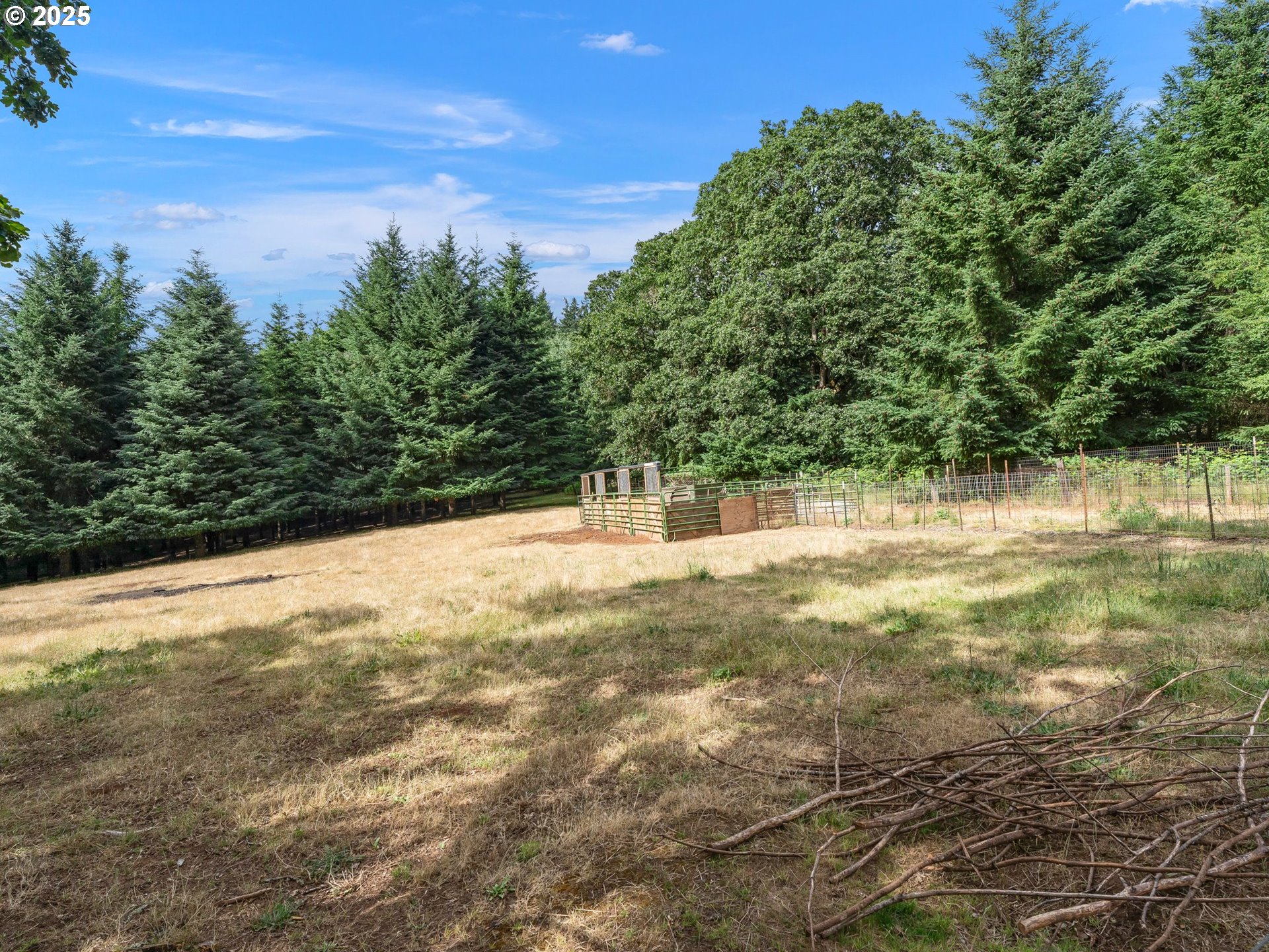 19791 Northeast Sunnycrest Road Newberg, OR 97132 - Photo 26 of 40 a view of yard