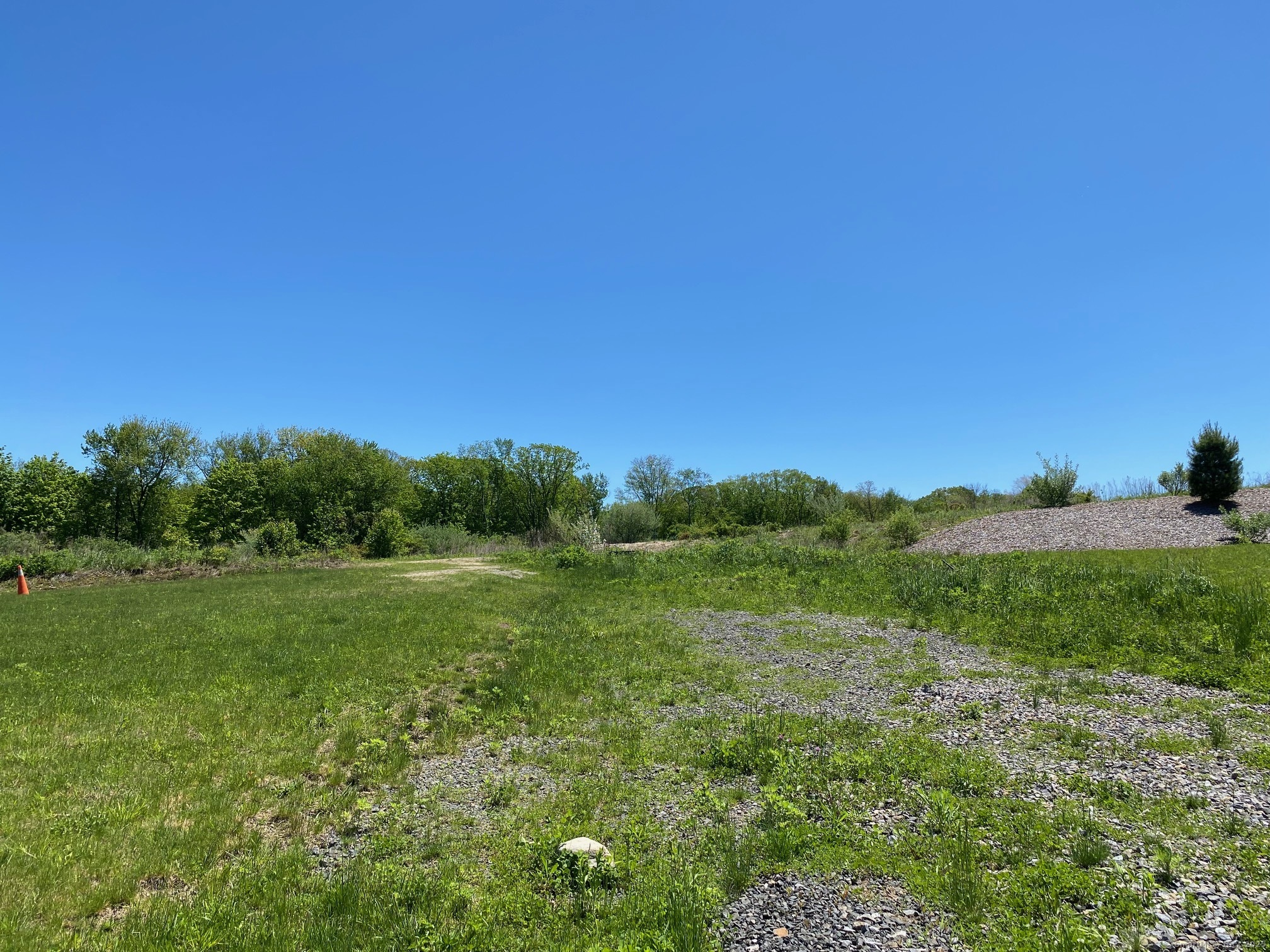 a view of grassy field with trees