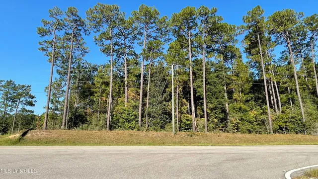 $75,000 | 49 Highway Wiggins Ms 39577, Wiggins, MS 39577