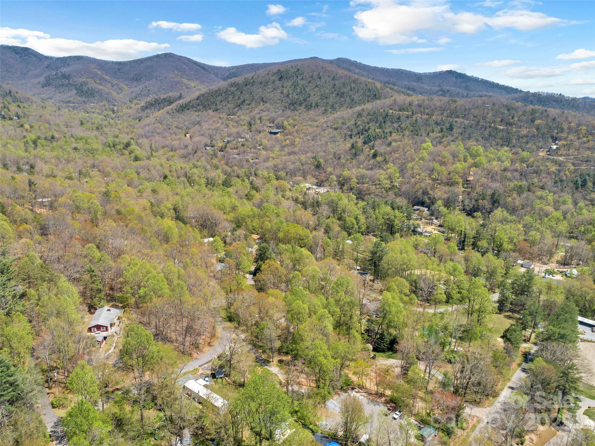 Tbd Carolina Heights, Unit TRACTS B C & D Black Mountain, NC 28711 - Photo 13 of 14 a view of a dry yard