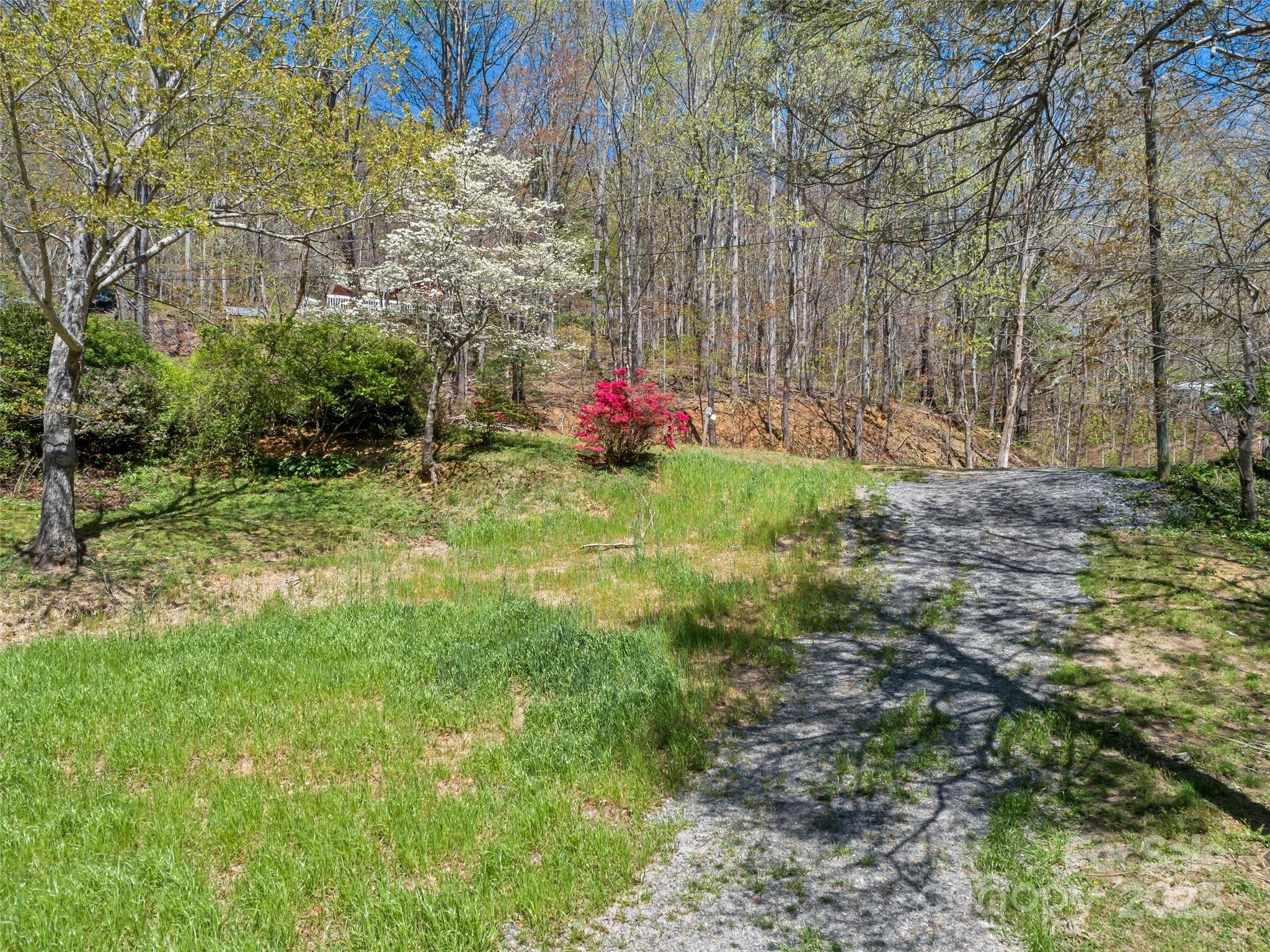 Tbd Carolina Heights, Unit TRACTS B C & D Black Mountain, NC 28711 - Photo 2 of 14 a view of garden