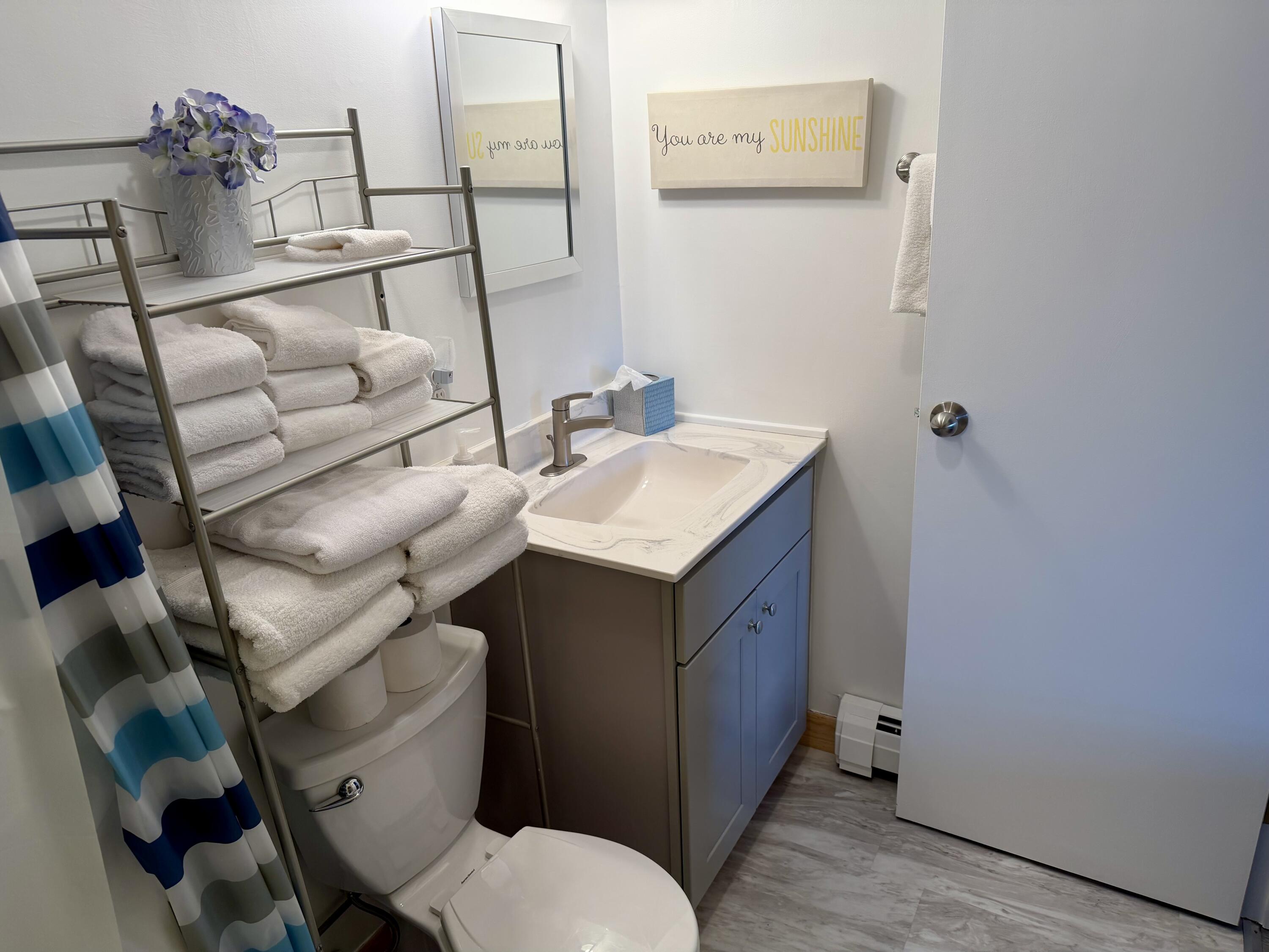 1 Squaw Village Road, Unit 4D Greenville Junction, ME 04442 - Photo 23 of 33 Bathroom 3