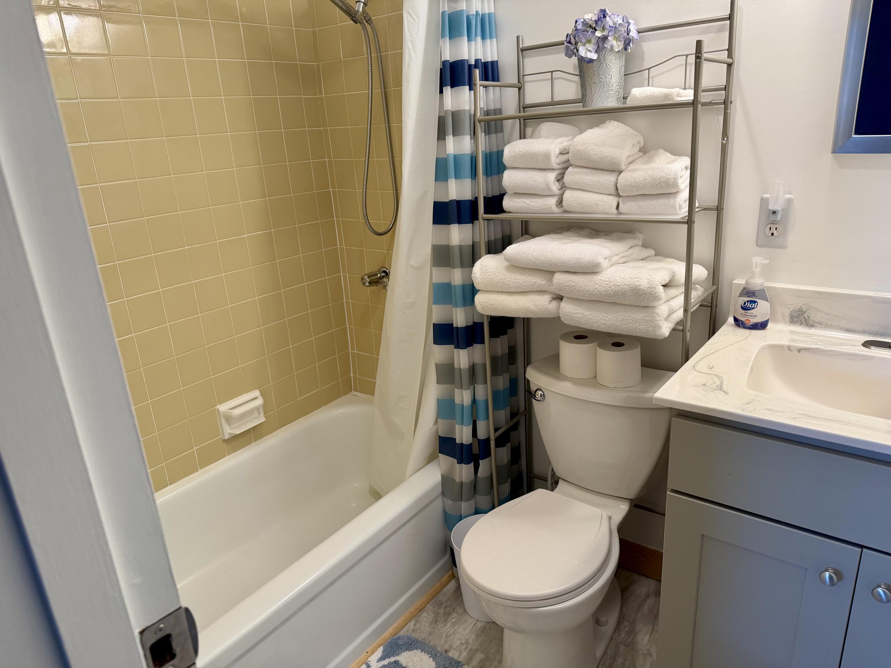 1 Squaw Village Road, Unit 4D Greenville Junction, ME 04442 - Photo 24 of 33 Bathroom 3